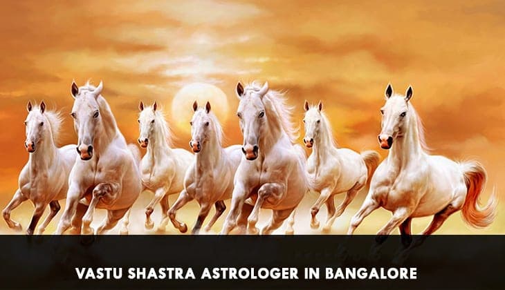Vastu site visit reading